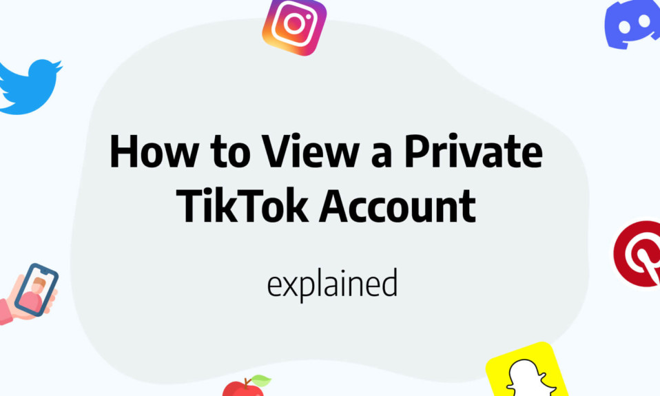 how to view private tiktok account