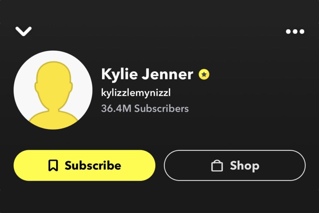 Snapchat subscribers count