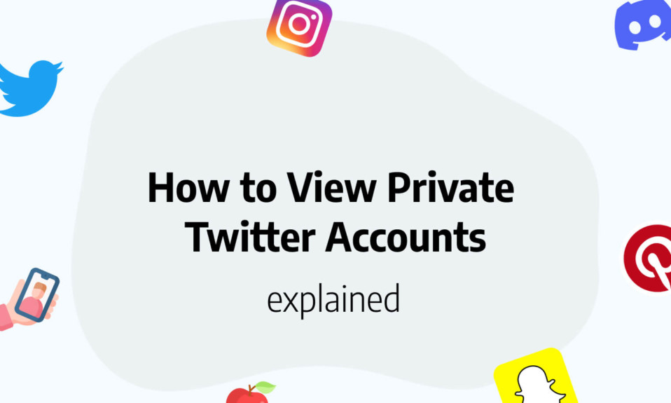 how to view private twitter accounts